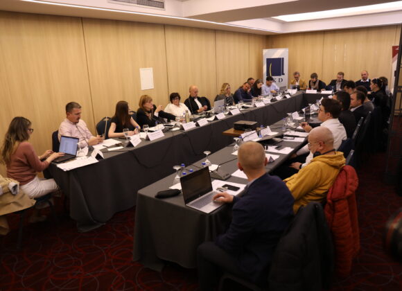 IKD dhe partnerët rajonalë diskutojnë adresimin e dezinformimit anti-BE dhe anti-perëndimor